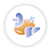 Extravascular hemolysis (EVH) icon