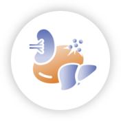 Extravascular hemolysis (EVH) icon