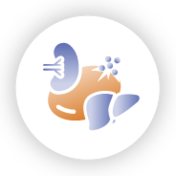 Extravascular hemolysis (EVH) icon