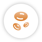 Red blood cell icon