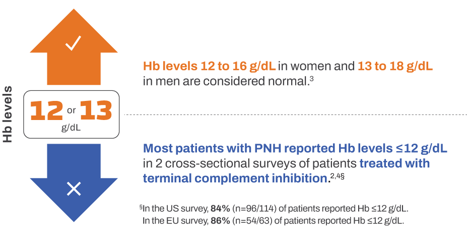 Hemoglobin levels in patients with PNH